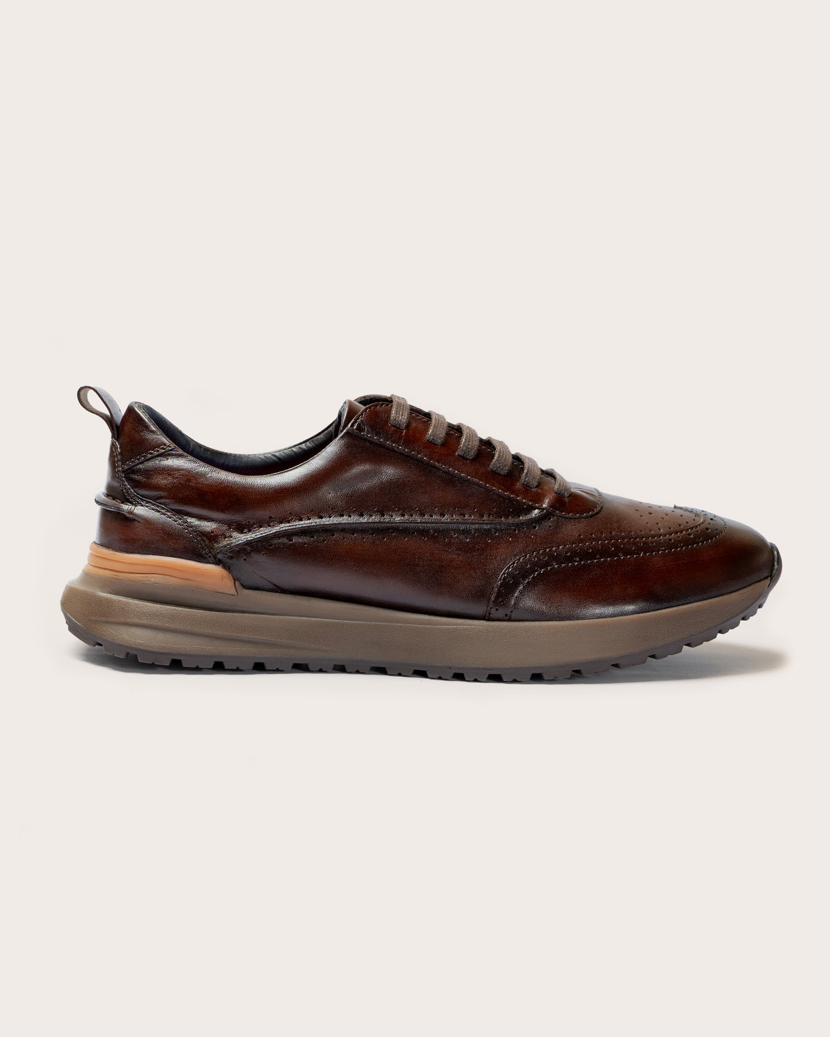Sneaker Cicco Café
